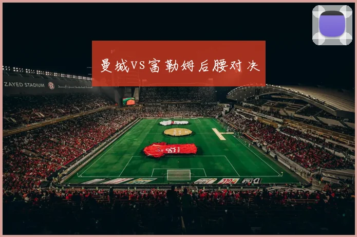 曼城vs富勒姆后腰对决